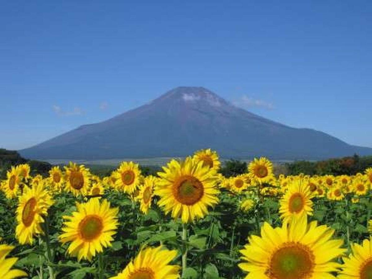 富士松園ホテル ホテル 山中湖村